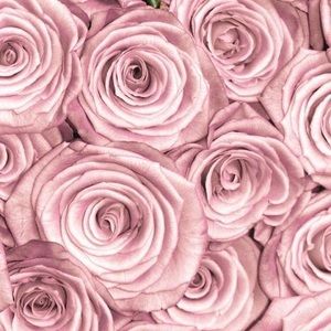 Meet your Posher, Lorrie